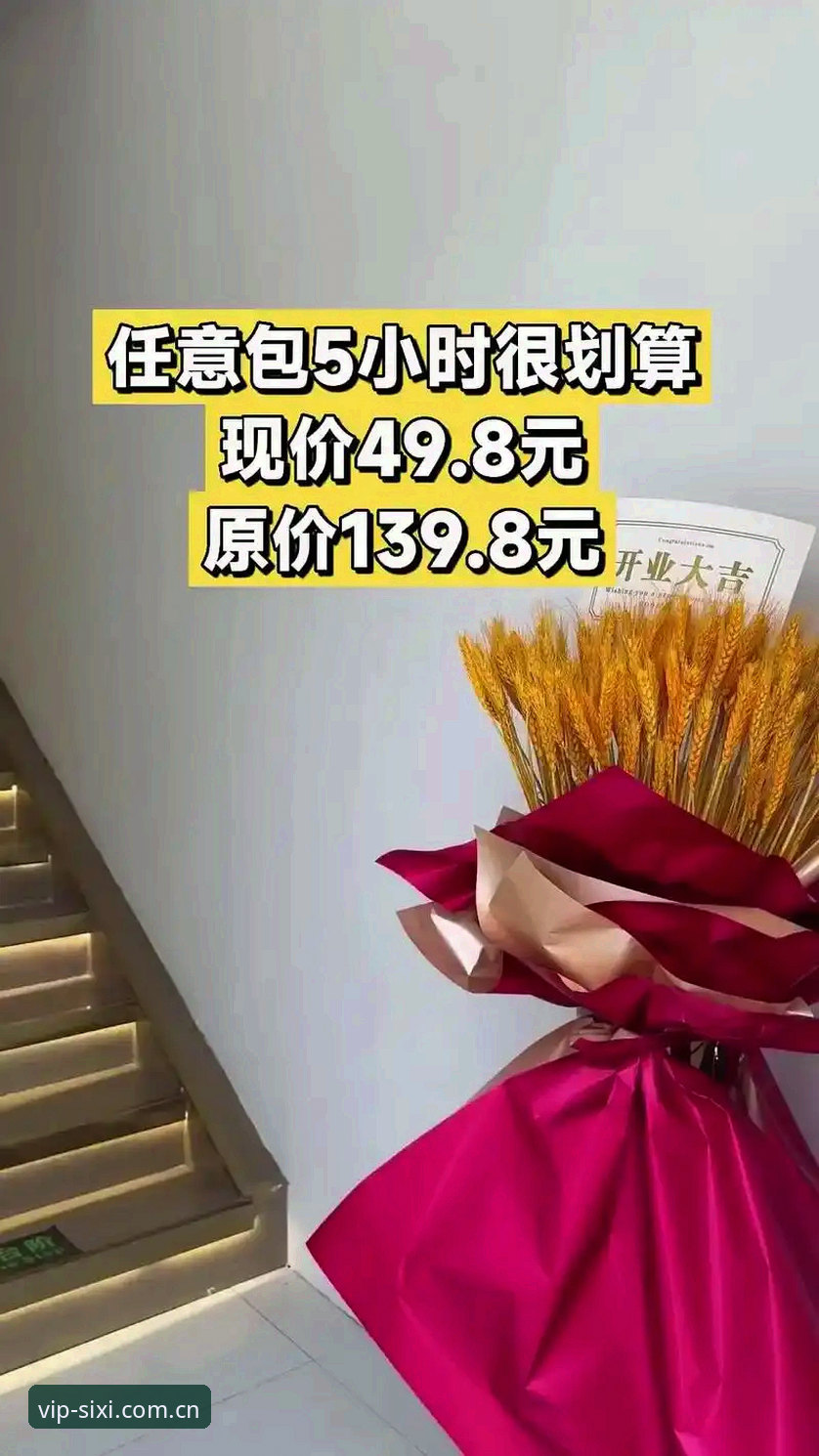 四喜娱乐免费入口官网兼容版使用指南：从下载到数据跟踪的完整教程